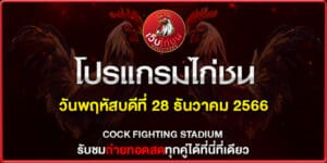 ไก่ชนทีเด็ด