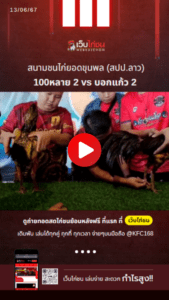 เปรียบไก่ชน