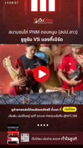 เปรียบไก่ชน