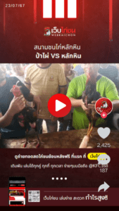 ป่าไผ่ VS หลักหิน