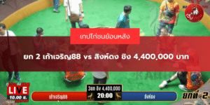 ยก 2 เก้าเจริญ88 vs สิงห์ดง ชิง 4,400,000 บาท