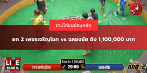 ยก 2 เพชรเจริญโชค vs ฉลองชัย ชิง 1,100,000 บาท