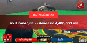 ยก 3 เก้าเจริญ88 vs สิงห์ดง ชิง 4,400,000 บาท