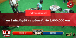 ยก 2 เก้าเจริญ88 vs เตชินฟาร์ม ชิง 8,800,000 บาท