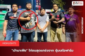 ซุ้มเลโอฟาร์ม